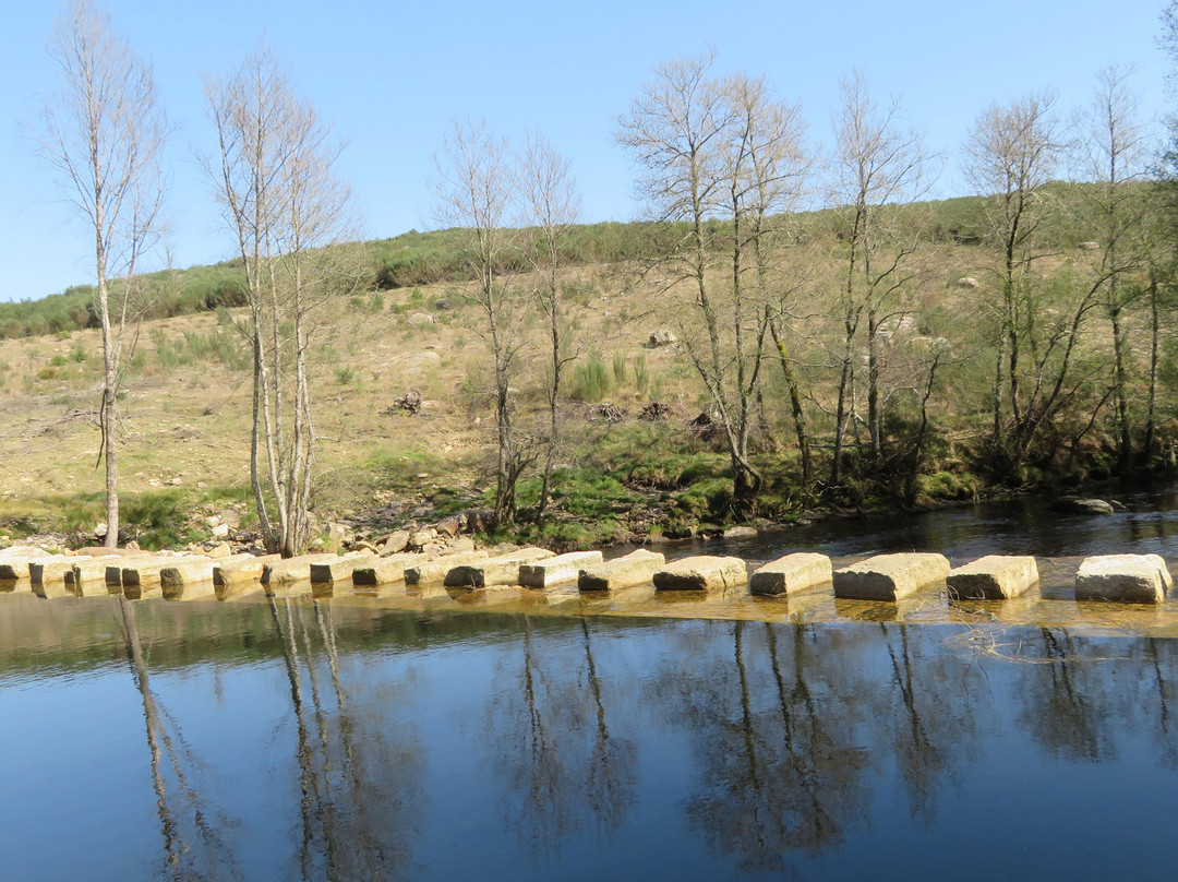 Boticas Parque Natur Houses主图