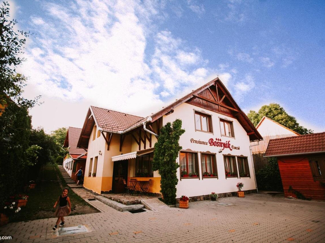 Bosnyak Panzio主图