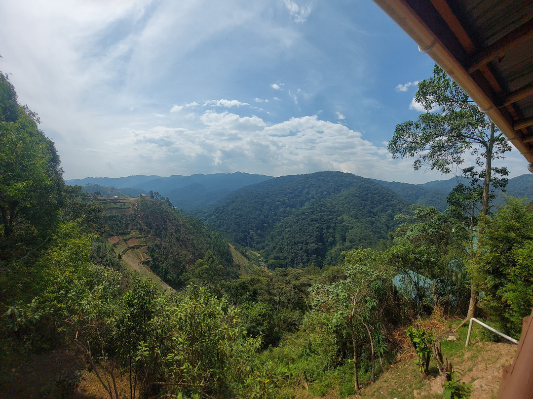 Freka African Holidays-坎帕拉必去景点