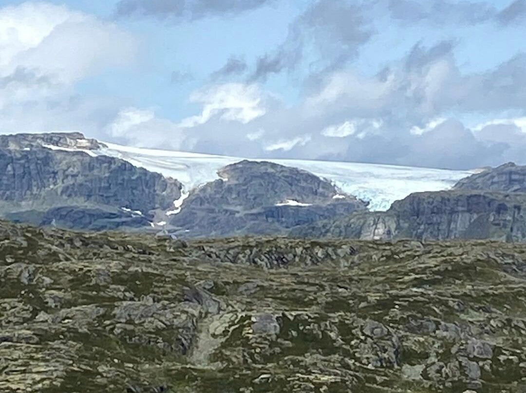Hallingskarvet National Park景点图片