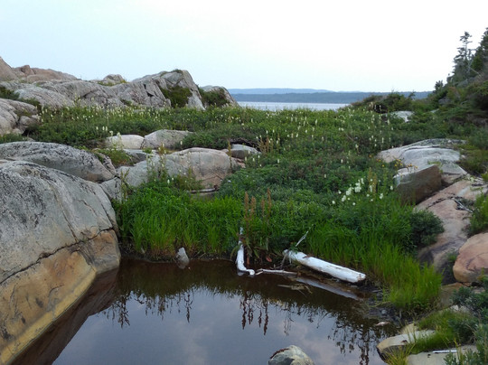Cap-De-Bon-Desir Interpretation and Observation Centre-Les Bergeronnes必去景点
