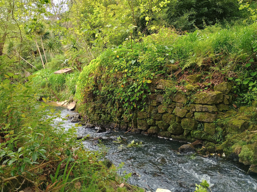Oakley Creek Walkway-奥克兰中心地区必去景点