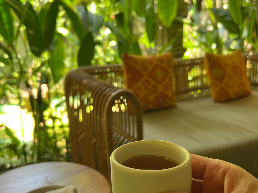 Hava Spa Ubud-吉安雅必去景点