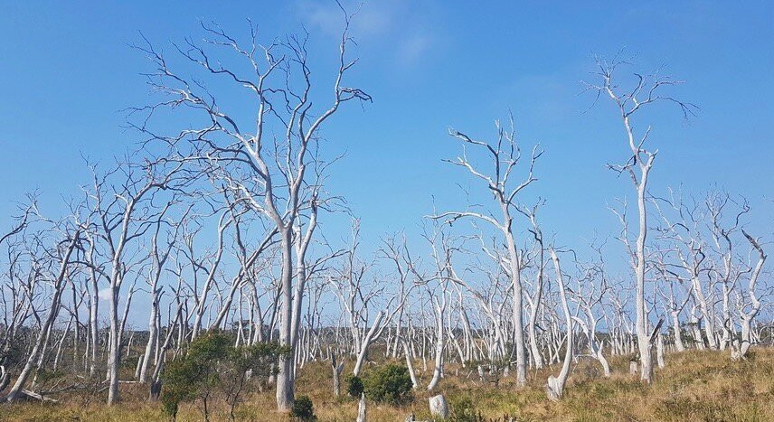 Great Ocean Road-阿波罗湾必去景点