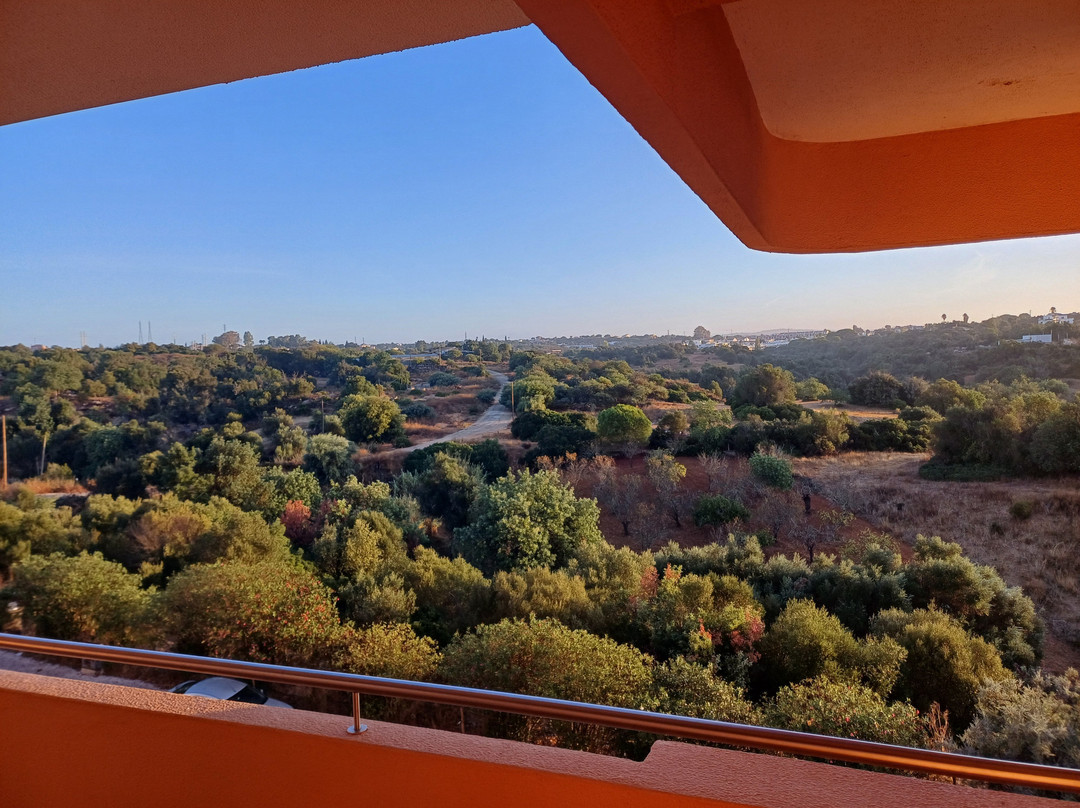 Choromar Apartments主图