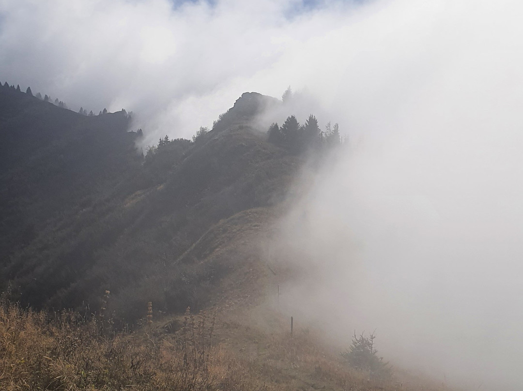 Praz de Lys Sommand景点图片
