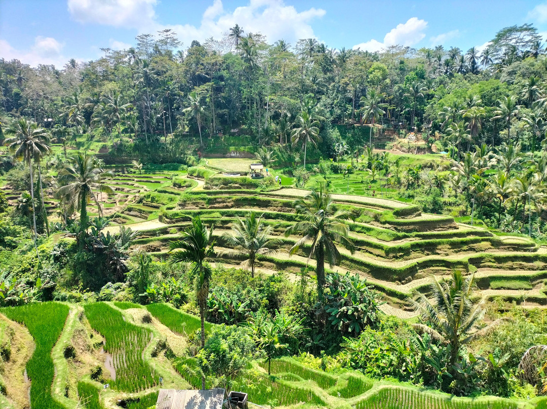 Bali Tridatu Vacations景点图片