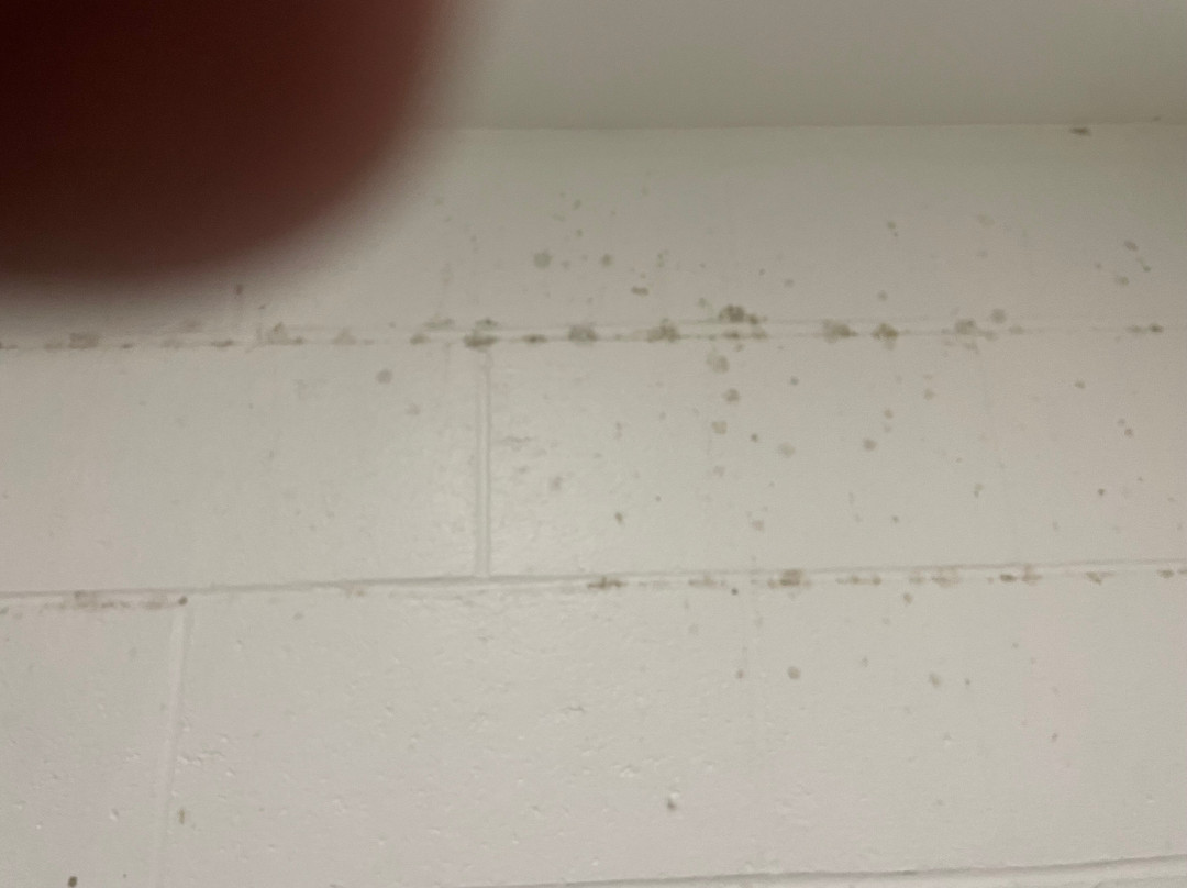 Rodeway Inn & Suites