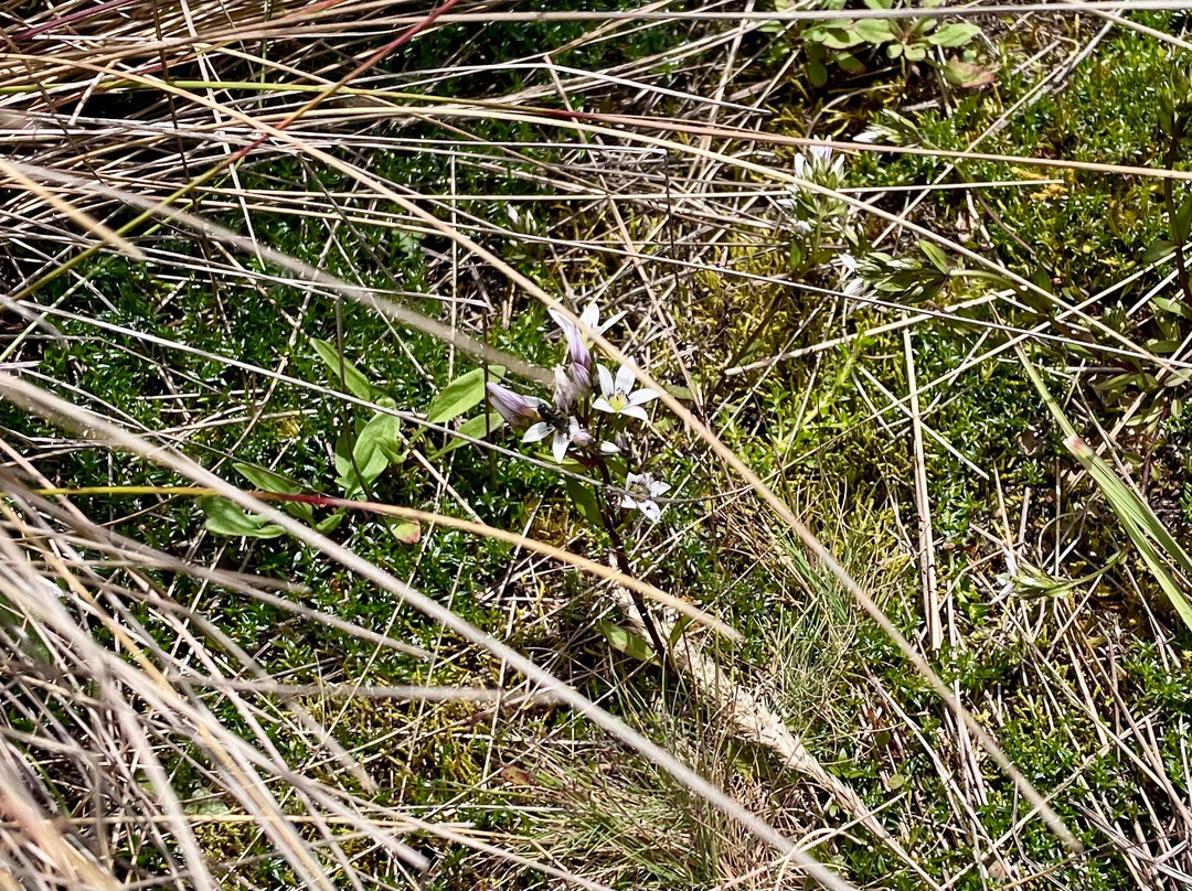 Laguna Negra-Mongui必去景点