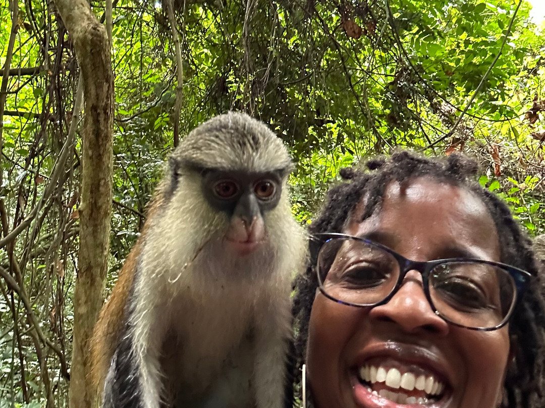 Root Tours Ghana-阿克拉必去景点