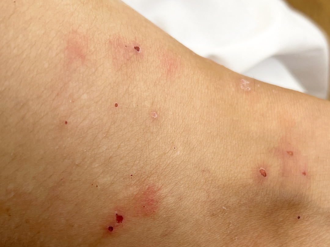 Tower Hotel Apartments主图