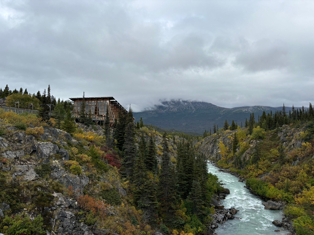 Yukon Suspension Bridge-白马市必去景点