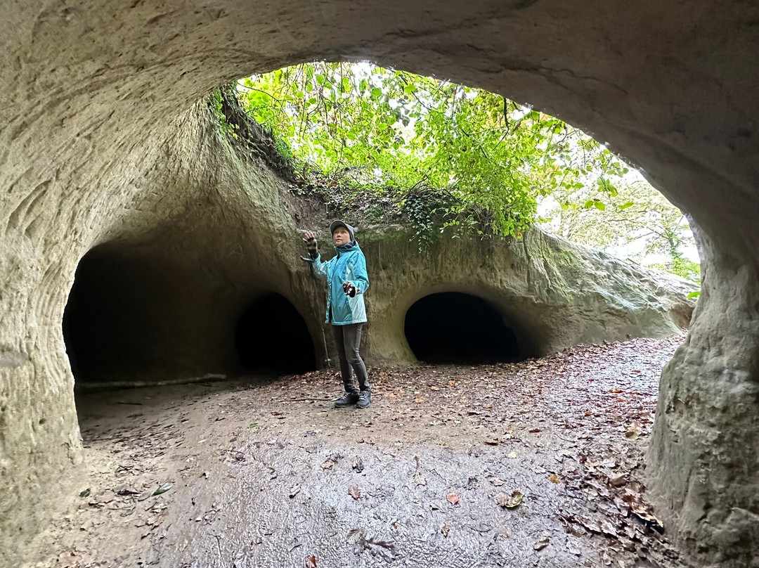 Les grottes des Roches Grises « La Lamberta »景点图片