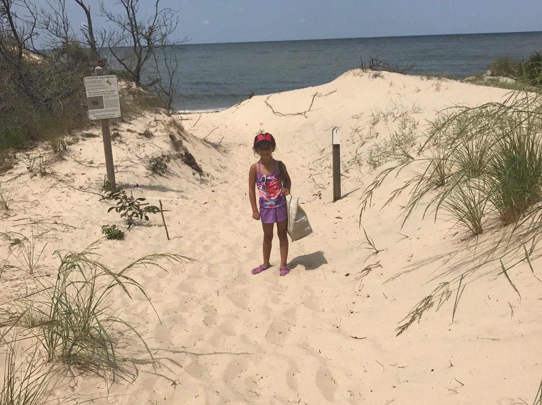 Savage Neck Dunes Dunes Natural Area Preserve