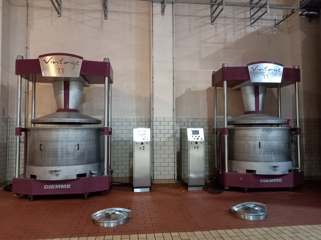 Bodegas Luzón-Jumilla必去景点