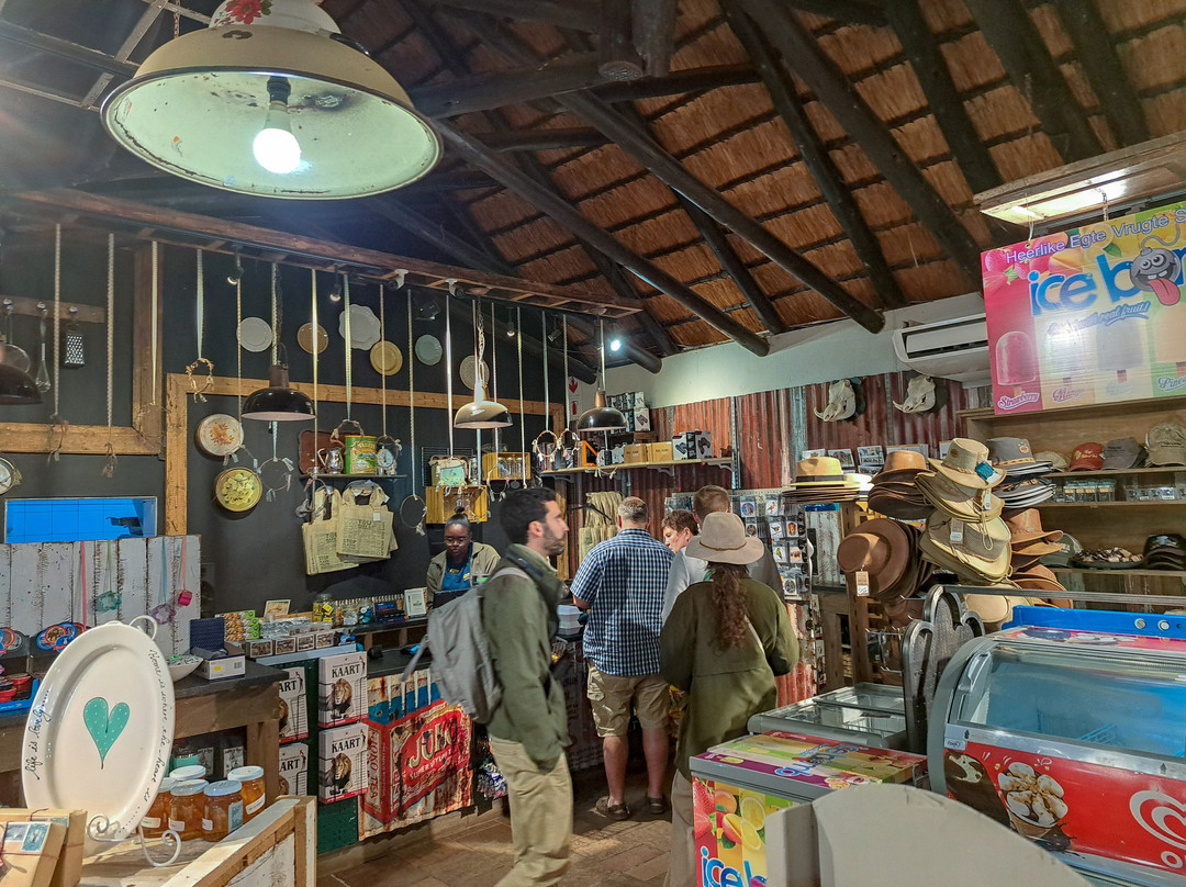 Tshokwane Picnic Site-克鲁格国家公园必去景点