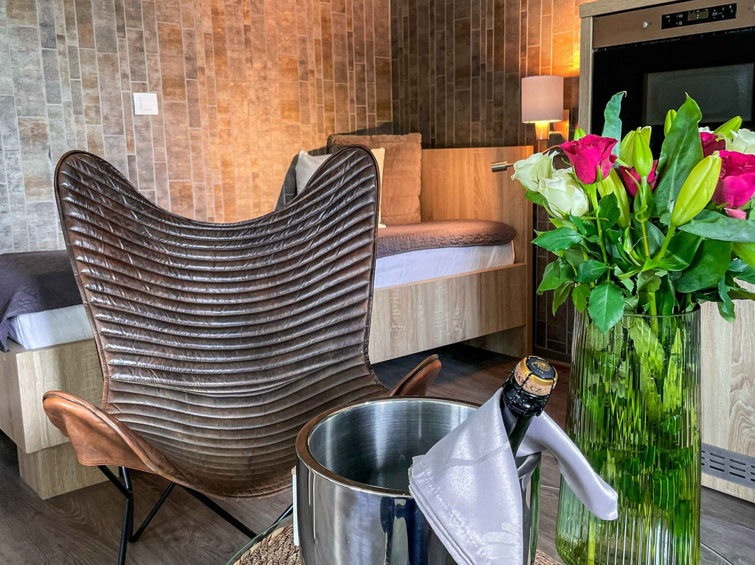 Hotel U Hradku****superior主图