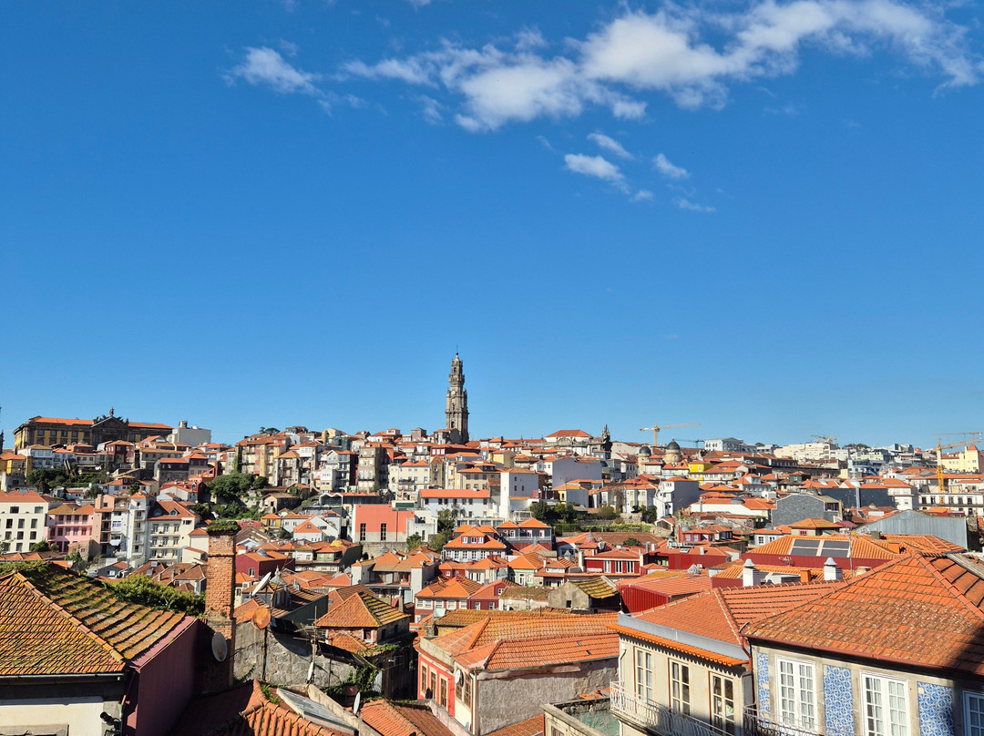 Revolutours.-波尔图必去景点