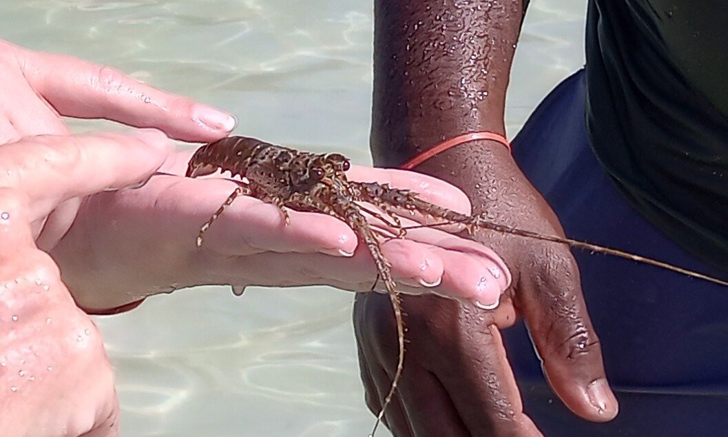 Discount Excursions-乔治城必去景点