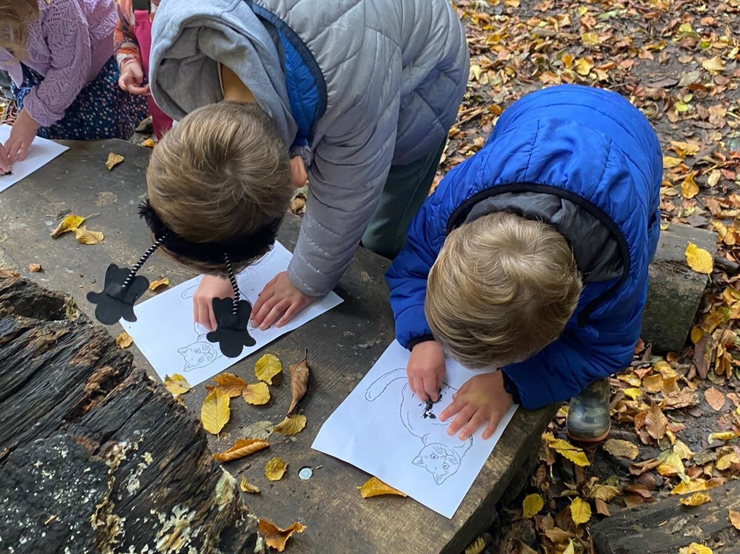 Bromley Parks Environmental Education景点图片