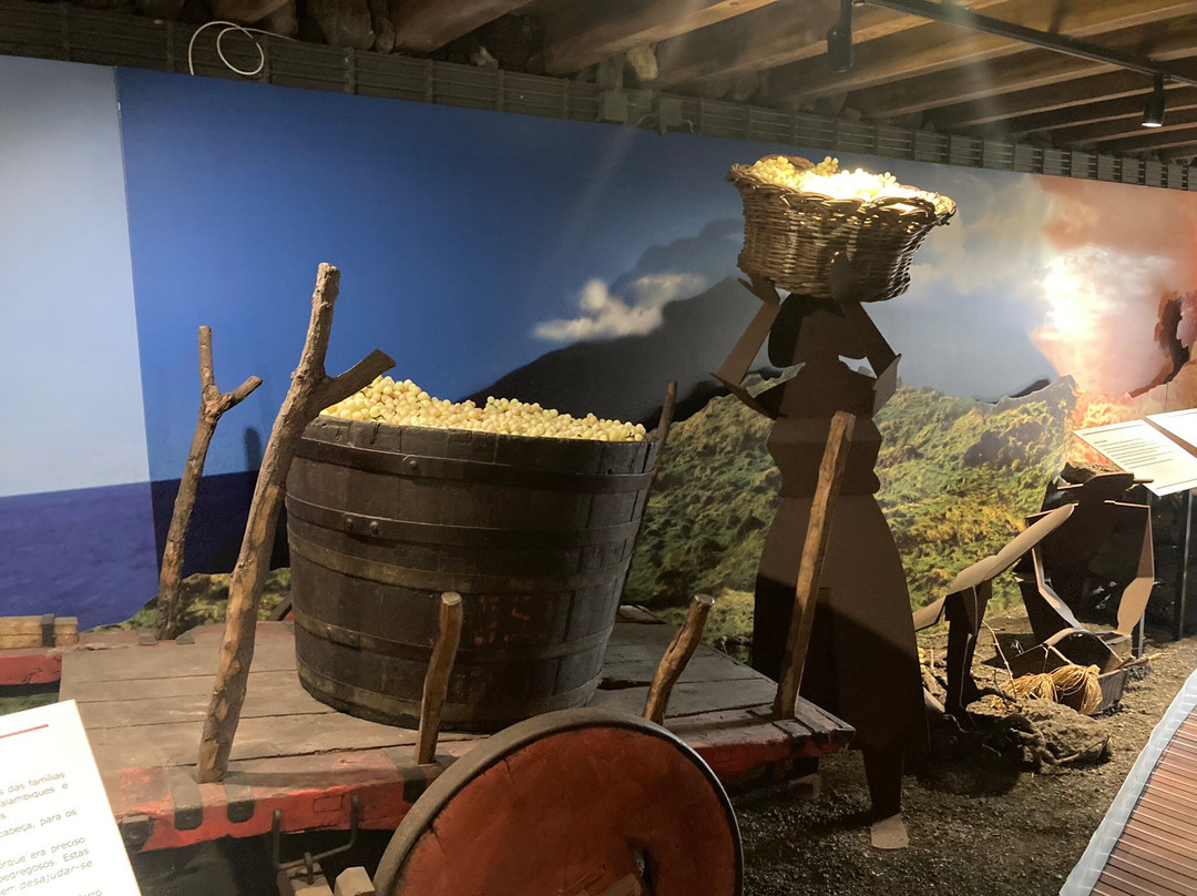Pico Wine Museum-Pico必去景点