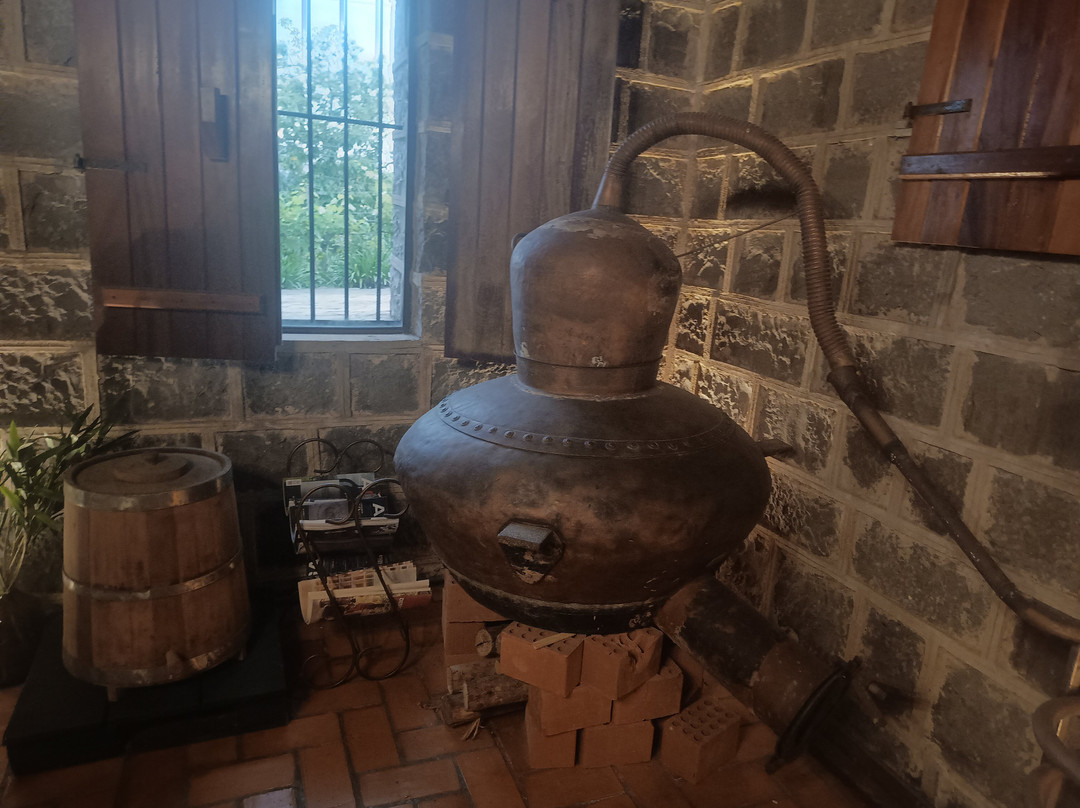 Vinicola Mena Kaho景点图片