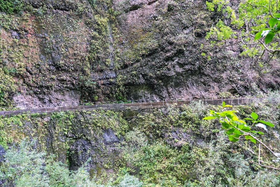 PR16 Levada Fajã do Rodrigues-Sao Vicente必去景点