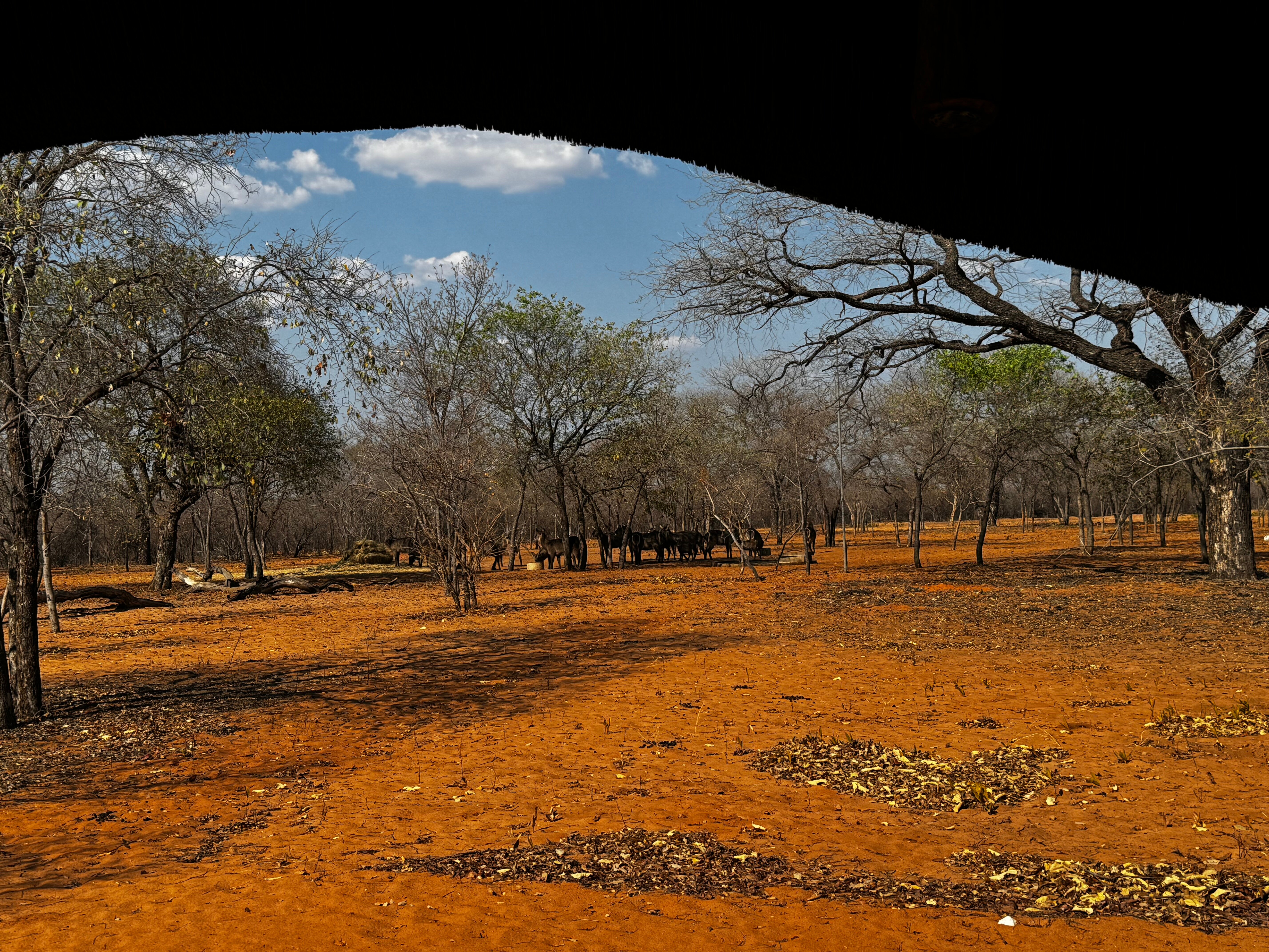 Wildacker Guestfarm-酒店景观