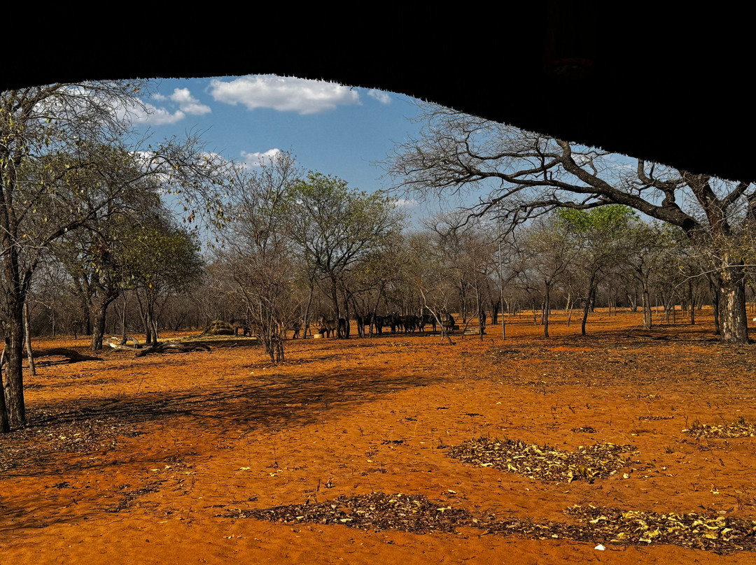 Wildacker Guestfarm主图