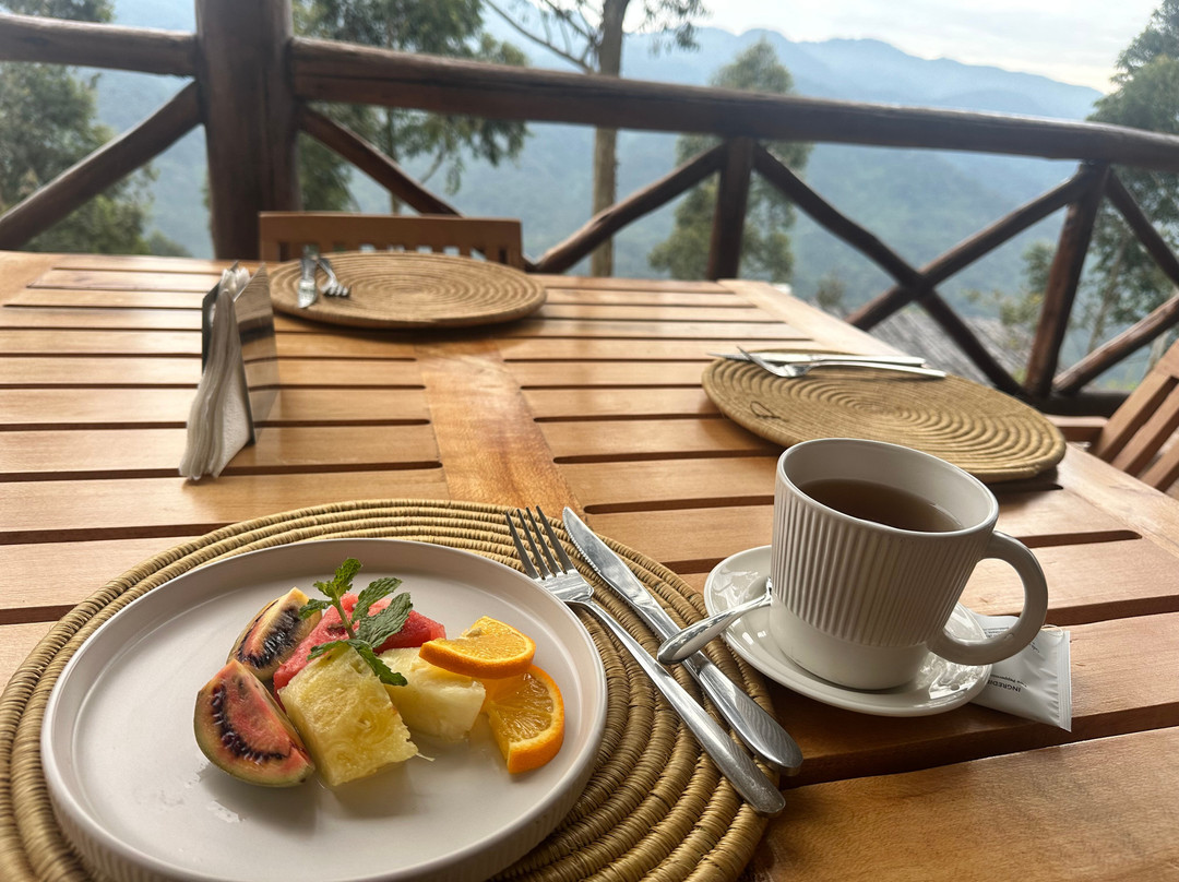 Kaara Gorilla Mountain Lodge