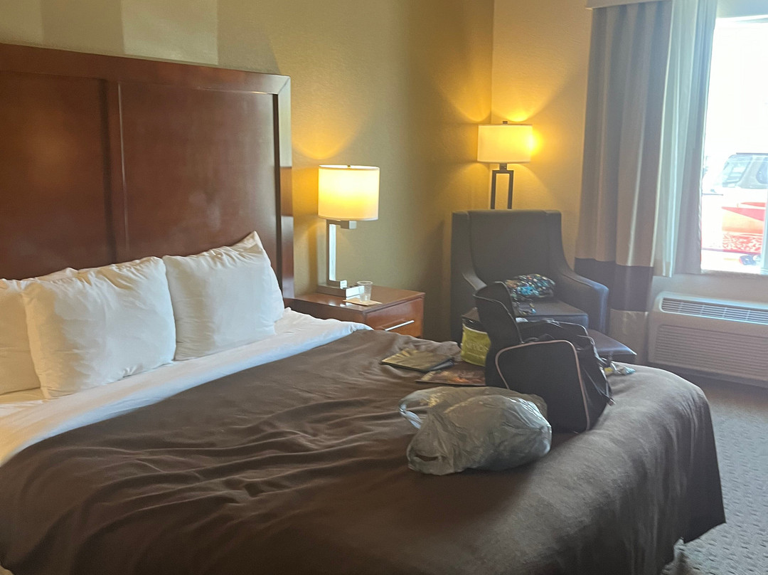 Comfort Inn & Suites主图