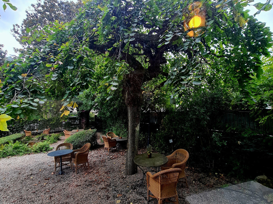 楚鲁特酒店主图