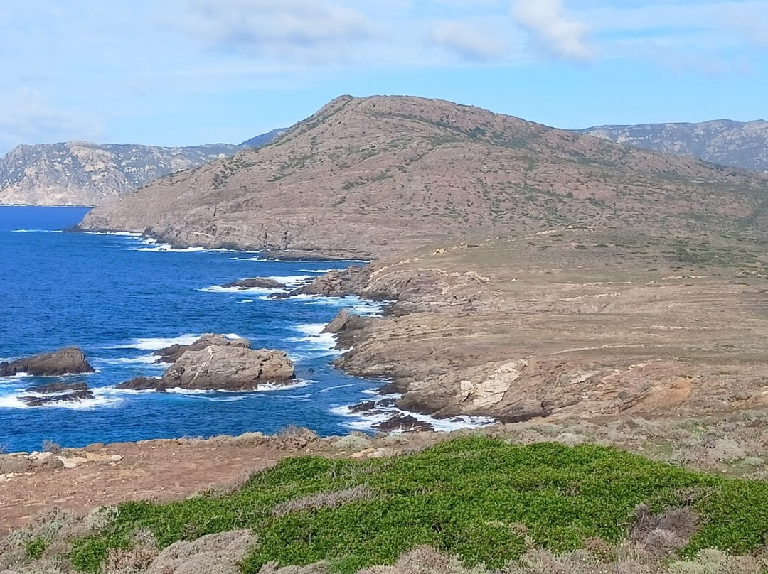 Wild Asinara Park-萨萨里省必去景点