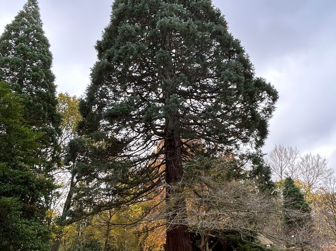 Lake Bluff Bird Sanctuary-Manistee必去景点