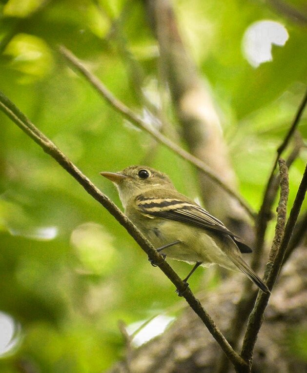 Uxuxubi Al Natural-艾库玛尔必去景点