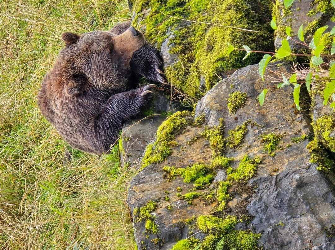 Kenai National Wildlife Refuge-索尔多特纳必去景点