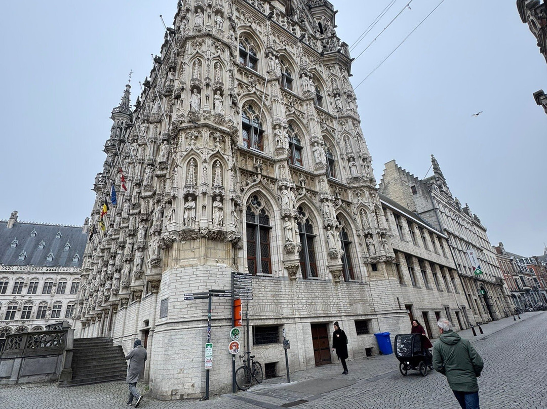 Historic Leuven Town Hall景点图片