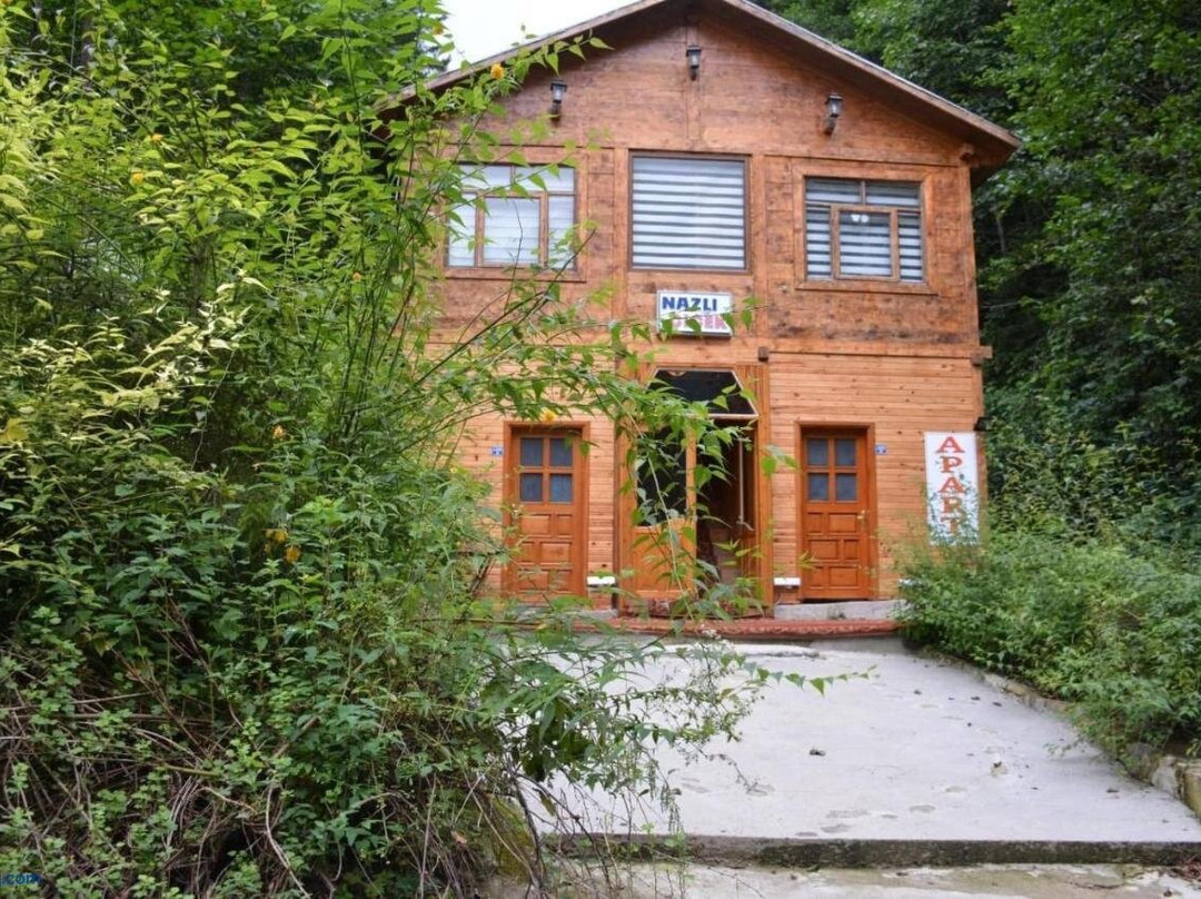 AYDER Nazlı Ciçek Apart