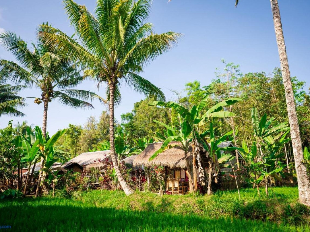 Vanilla Cottage Tetebatu