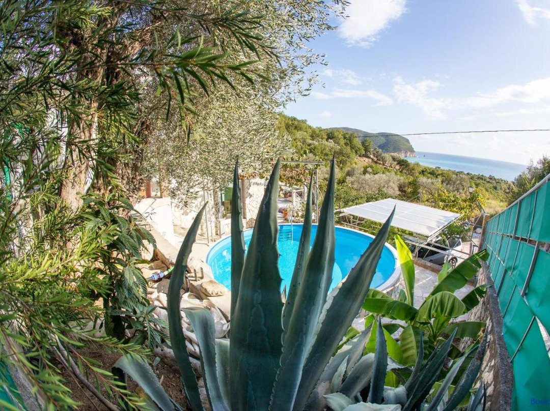 Apartments Mirian