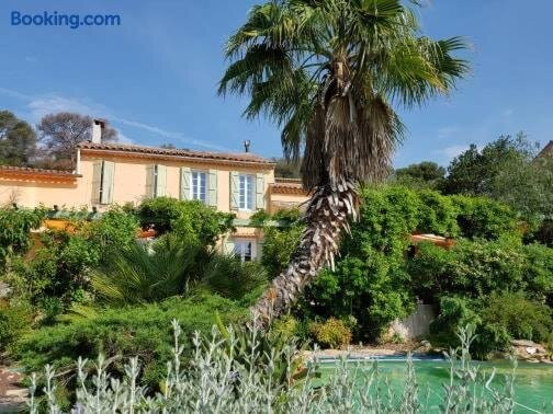 Les Palmiers Toulon