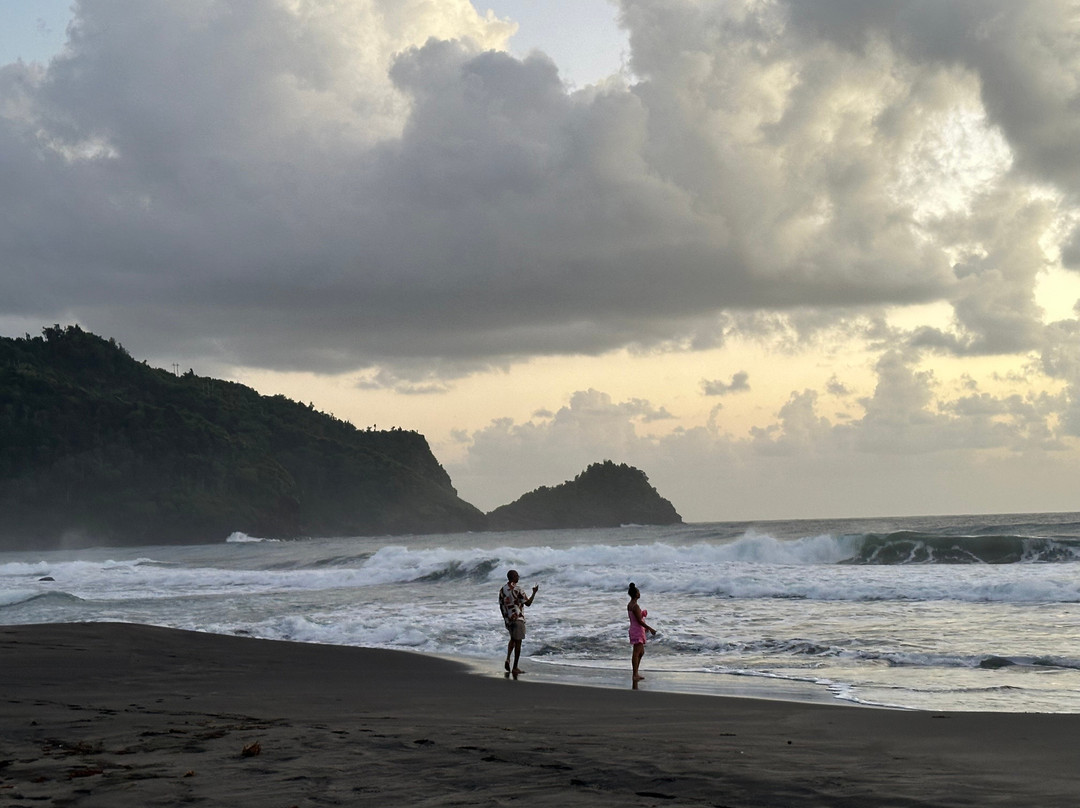 Rosalie Bay Eco Resort & Spa主图