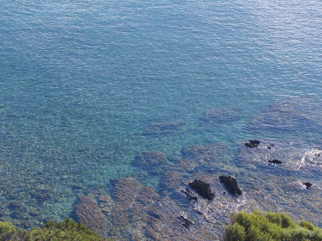 B&B Domus de Janas主图