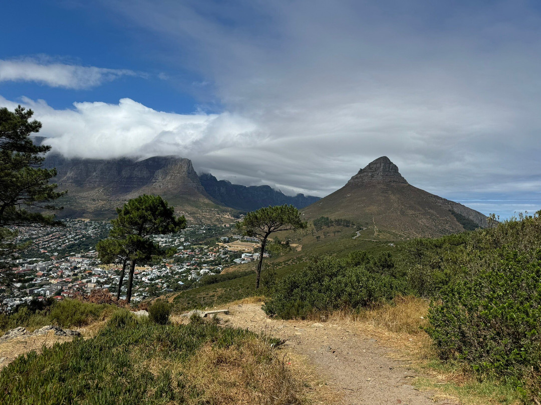 Cape Trio Tours-开普敦中心区必去景点