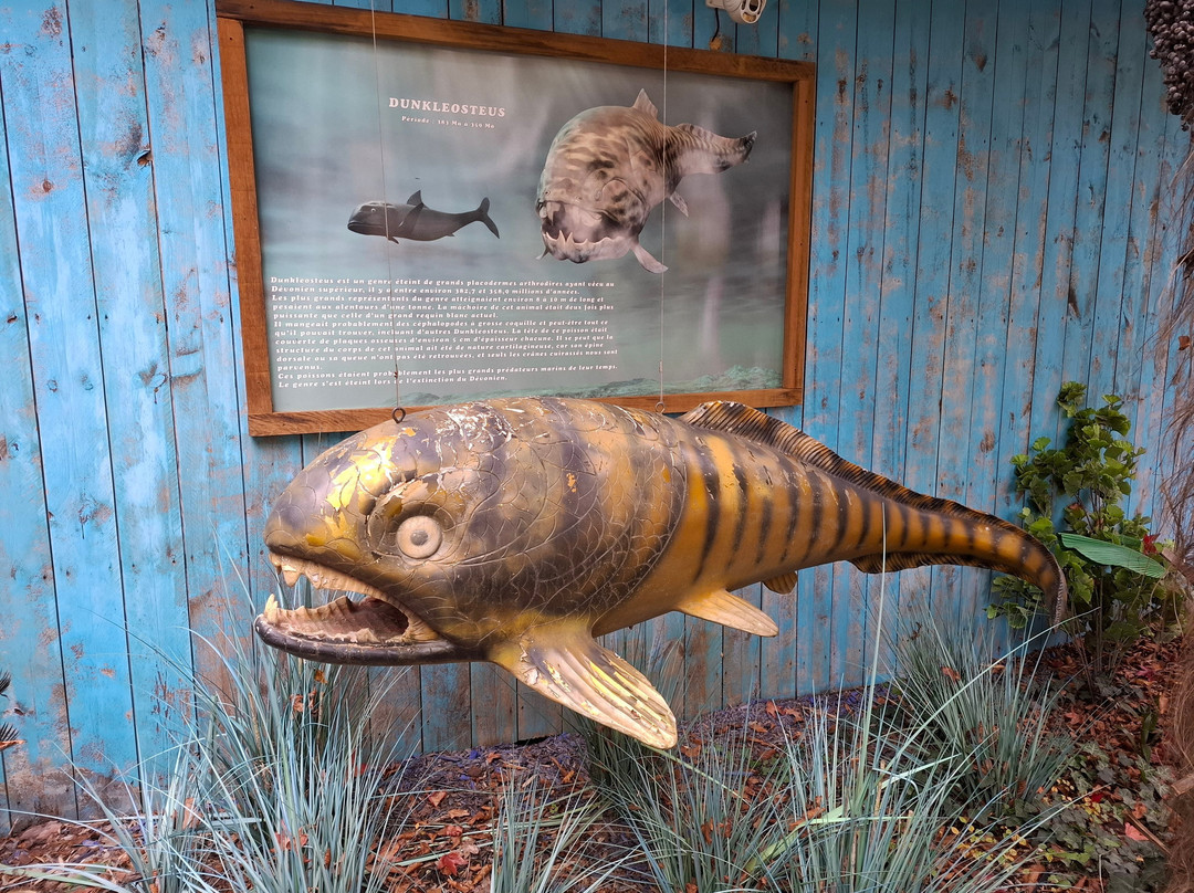 Aquarium d'Amneville景点图片
