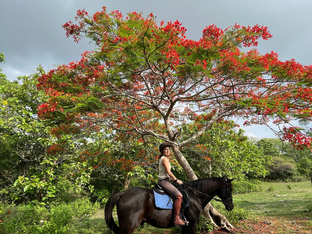 Royal Sporthorse Bali-Kutuh必去景点