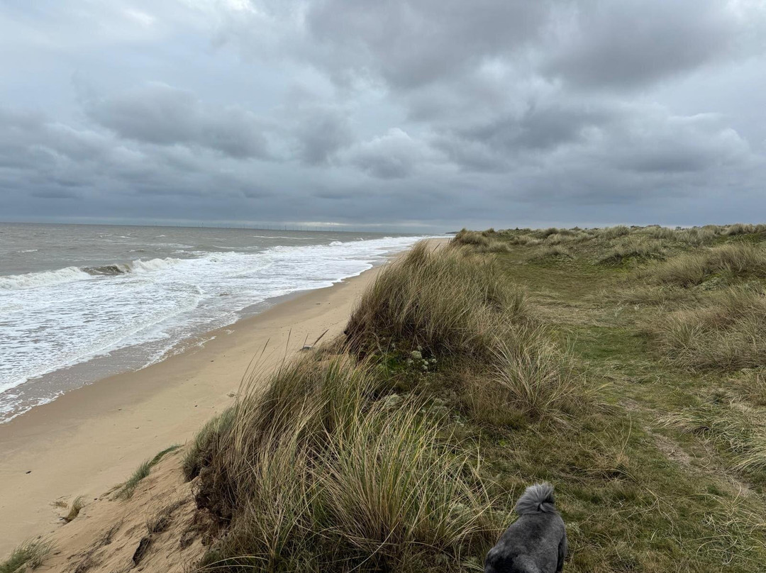 Winterton Dunes-Winterton-on-Sea必去景点