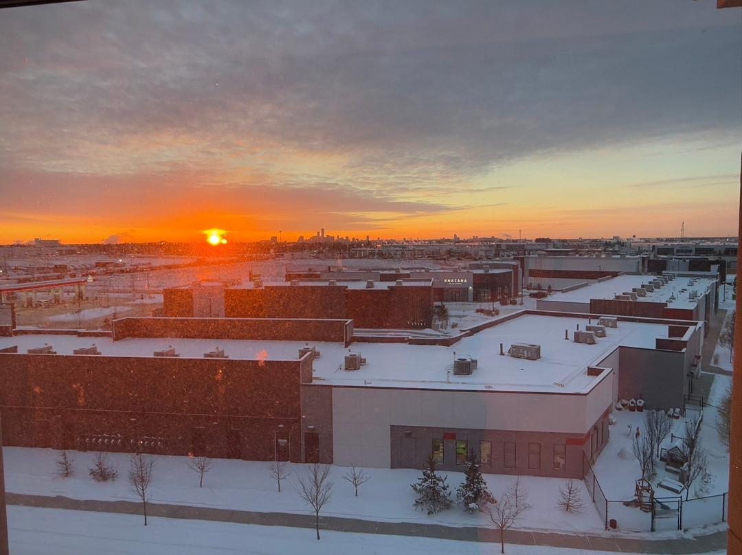 Hampton Inn & Suites by Hilton Edmonton St. Albert主图