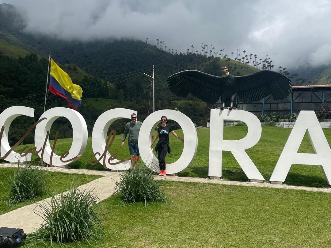 Eco Hotel La Cabana主图