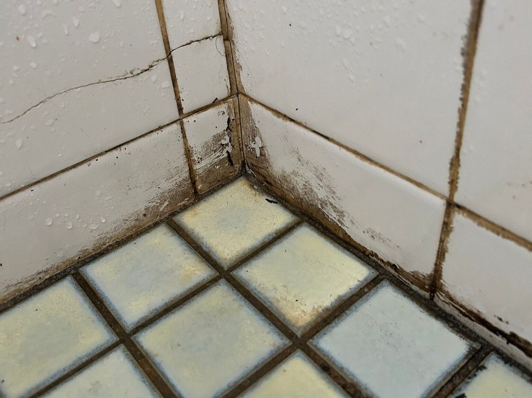 Peter Allen Motor Inn主图